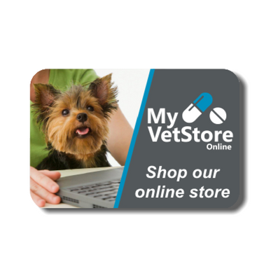 Online Store